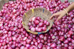 स्थानीय प्रशासनले तोक्यो प्याजको बिक्री मूल्य