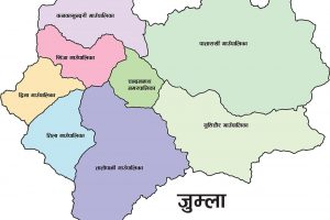 सामूहिक जडिबुटी खेती