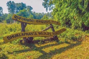 शुक्लफाँटा राष्ट्रिय निकुञ्जमा जङ्गल सफारी खुला