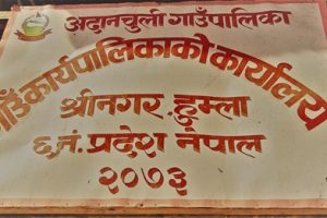 हुम्लाको अदानचुलीमा नियमित खोप सेवा शुरु