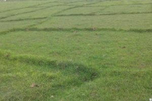 हिउँदमा खेतबारी बाँझो रहने चिन्ता