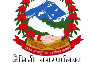 विदेशको कमाइ, स्वदेशमा लगानी