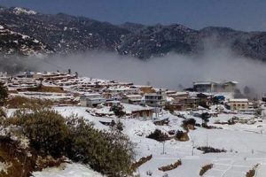 जाडोमा सुनसान बन्यो हिमाली गाउँ तोक्पेगोला