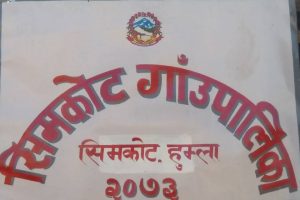 भण्डारण गरिएको आलु कुहिएर नष्टः बीउ जोगाउन मुस्किल