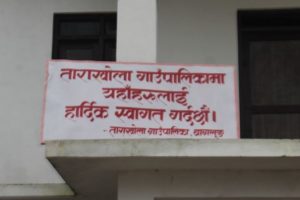 तीन वर्षमै फल्यो किबी, किसान उत्साहित