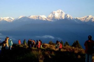 सीमा क्षेत्रको फालोटमा पर्यटकको चाप