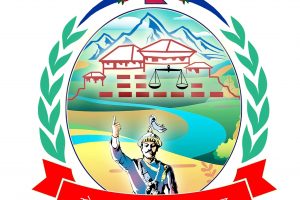 बालोद्यानमा दृश्यावलोकनस्तम्भ निर्माण