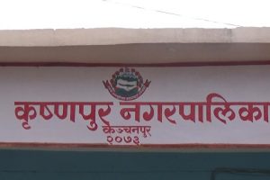 दुर्घटनामा श्रीमतीको मृत्यु, श्रीमान् र छोरी गम्भीर घाइते