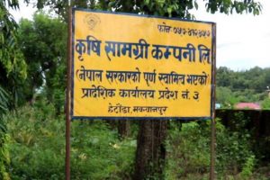 गहुँको बीउ अभाव