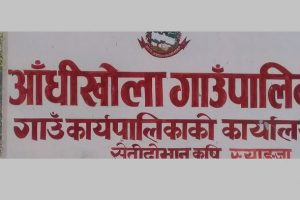 गाउँपालिकाले छाड्यो आँधीखोलामा माछाका भुरा