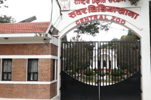 आठ महिनापछि खुल्यो सदर चिडियाखाना, अनलाइनबाटै टिकट पाइने