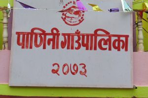 पशुजन्य उत्पादनमा उत्कृष्ट बन्दै पाणिनि