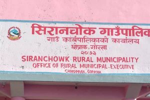 आफैँ चढेको बसले किचेर मृत्यु