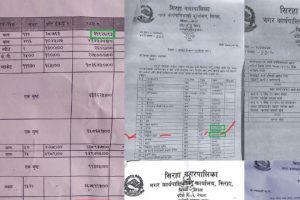 अनियमितताको हटस्पट ‘स्थानीय तह’