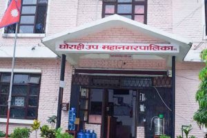 व्यावसायिक बङ्गुरपालनबाट आम्दानी लिँदै किसान