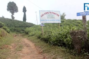 पर्यटकको आकर्षण बन्दैछ पानीटार