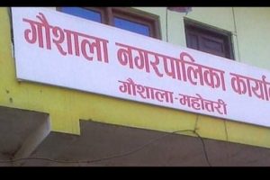 आयुर्वेद विज्ञानमा स्नातकको पढाइ शुरु