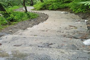 लेकाली पदमार्गको गुरुयोजना तयार भयो