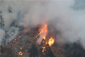 सर्लाहीका वनमा एक महिनादेखि डढेलो : सरोकार निकाय मौन