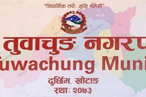 मकैको खोसेलाबाट आकर्षक घरायसी सामग्री उत्पादन