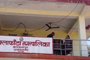 अनुदान पाएपछि किसान व्यावसायिक बाख्रापालनतर्फ उन्मुख