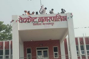 दुई सय किसानलाई तरकारीको बीउ र जैविक मल