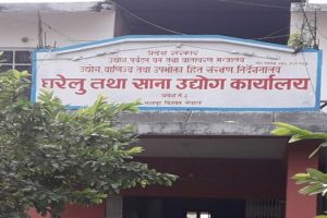 चितवनमा महिला उद्यमी बढे