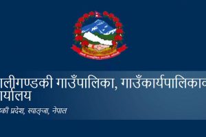 गाउँपालिकाद्वारा फूल खेती
