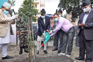 प्रधानमन्त्री देउवाद्वारा वृक्षरोपण अभियान शुभारम्भ