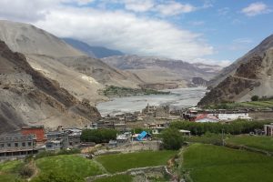 वर्षायाममा हिउ“दे बाली भित्र्याइँदै