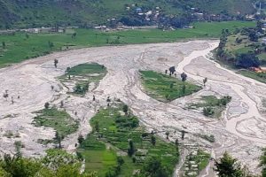 धानखेतमा खोलाको राज