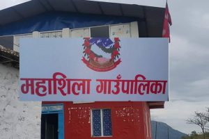 ‘किचन गार्डेन’ कार्यक्रम सुरु
