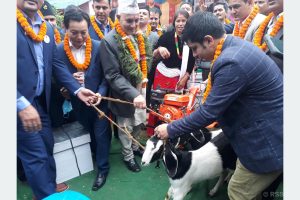 माझी बस्ती नमूना गाउँ: दैनिकी फेरिने आश