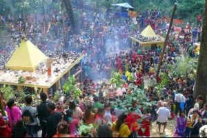 पाल्पामा चिच्याएर वर माग्ने मेला
