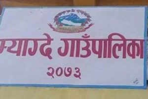 एउटै गाउँबाट तीन करोडको सुन्तला बिक्री