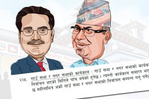 स्थानीय चुनाव नगर्न संविधानको धारा २२५ को अपव्याख्या