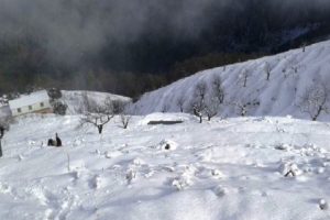 इलामका उच्च पहाडी क्षेत्रमा हिमपात