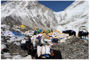 अन्नपूर्ण हिमालमा सरसफाइ गर्दा ३६०० किलो फोहोर संकलन