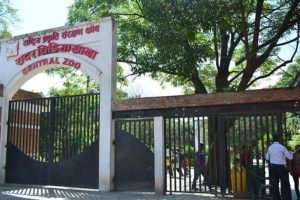 सदर चिडियाखानाको आम्दानी १७ करोड ७५ लाख