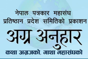 पत्रकार महासंघ प्रतिष्ठान प्रदेशको कार्यक्रम प्रभावित हुने