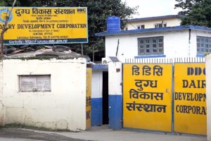 डीडीसीका महाप्रबन्धकलाई कार्यकक्षमै कालोमोसो