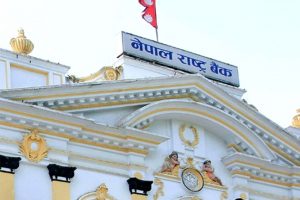 २०८१ सालमा बैंकका कर्मचारीले पाउने जम्मा बिदा सार्वजनिक