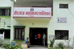 वीरगञ्जमा रात्रि बजार सञ्चालन गर्दै महानगर
