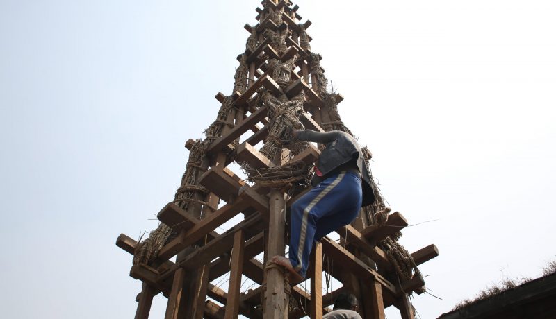 सेतो मच्छिन्द्रनाथ जात्राको तयारी तीव्र, रथ निर्माण अन्तिम चरणमा