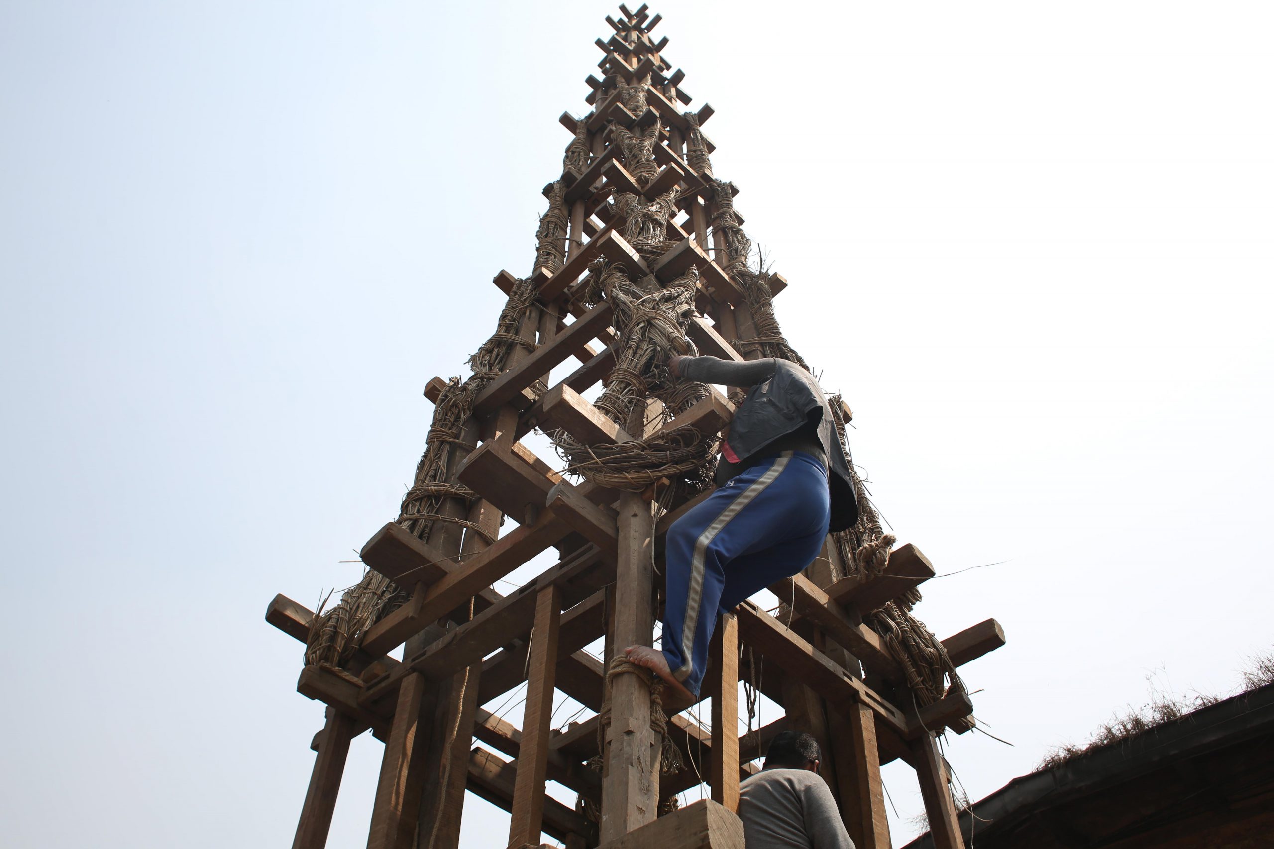 सेतो मच्छिन्द्रनाथ जात्राको तयारी तीव्र, रथ निर्माण अन्तिम चरणमा